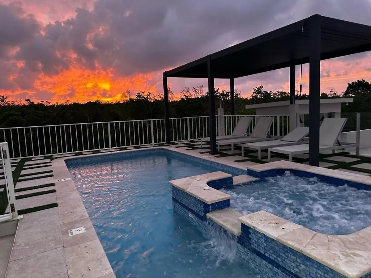 פאלמאות' Sky Haven Retreat- 2Br Rooftop Pool, Stunning Views & Free Airport Pickup 0*,