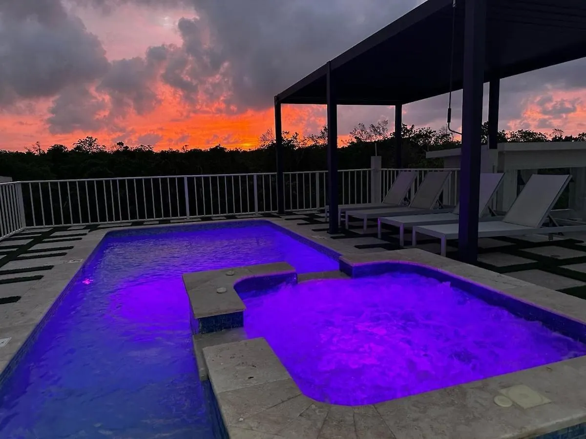 פאלמאות' Sky Haven Retreat- 2Br Rooftop Pool, Stunning Views & Free Airport Pickup